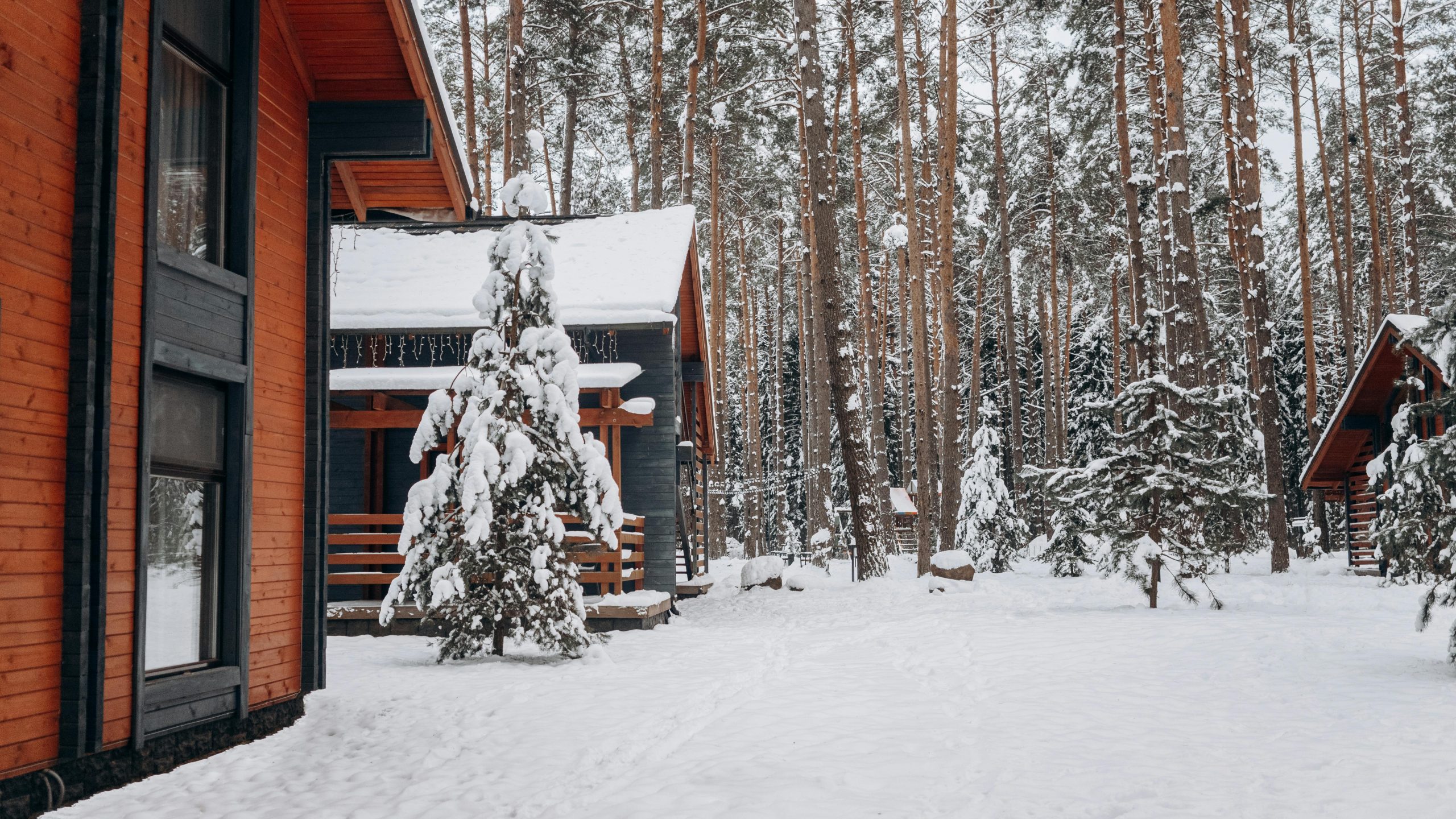 Homes in the winter snow